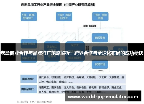 老詹商业合作与品牌推广策略解析：跨界合作与全球化布局的成功秘诀