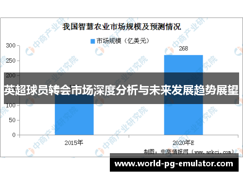 英超球员转会市场深度分析与未来发展趋势展望