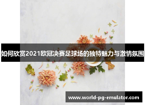 如何欣赏2021欧冠决赛足球场的独特魅力与激情氛围