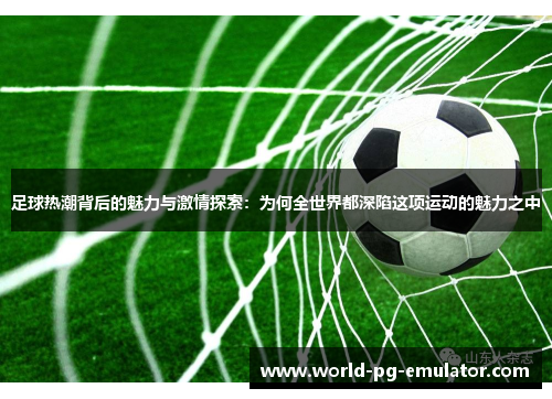 足球热潮背后的魅力与激情探索：为何全世界都深陷这项运动的魅力之中